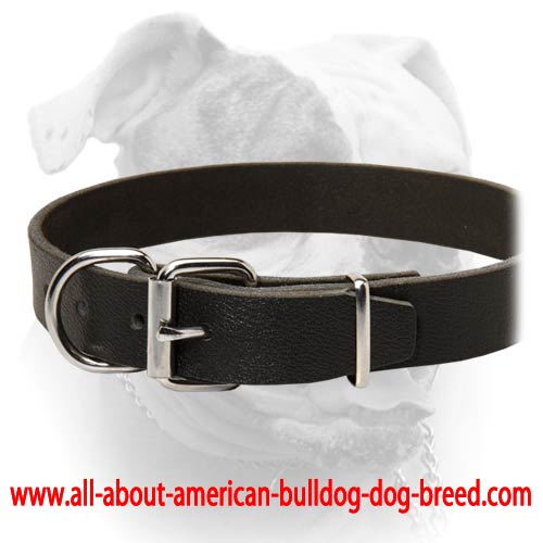 (image for) Casual Style Leather Collar For American Bulldog Breed