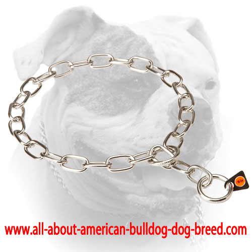 (image for) Stainless Steel American Bulldog Fur Saver for Long Term Use 1/8 inch (3 mm) link diameter