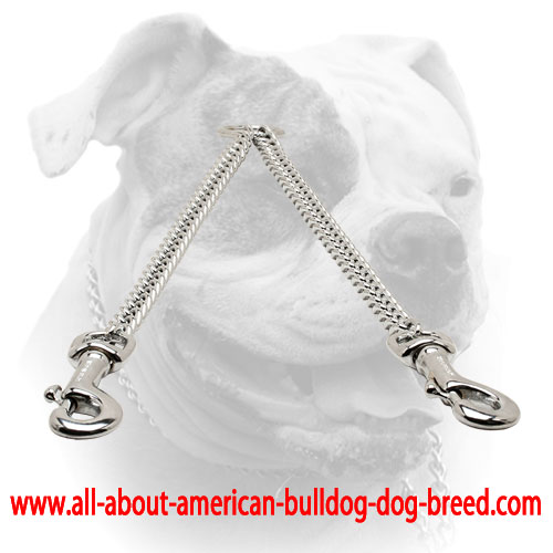 (image for) Chrome plated steel American Bulldog coupler for walking 2 dogs