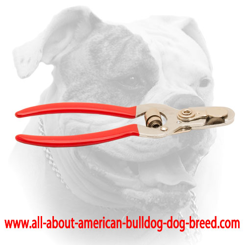 (image for) American Bulldog nail trimmer with vinyl handles and stopper - Click Image to Close