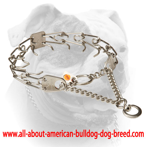 (image for) Stainless steel American Bulldog pinch prong collar