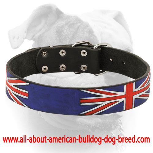 (image for) Exclusive style United Kingdom Pride leather American Bulldog collar