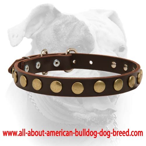 (image for) Brass Drops Decorative Leather Collar