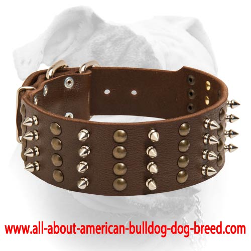 (image for) Spiky Leather Collar For American Bulldog