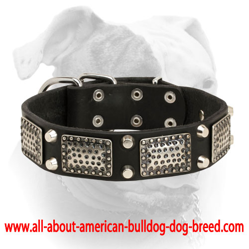 (image for) War-like leather American Bulldog collar with massive vintage plates and pyramids