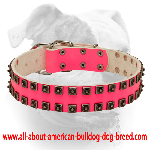 pink prong collar