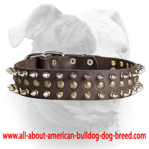 (image for) Leather American Bulldog collar with 2 rows of spikes and 1 row brass studs