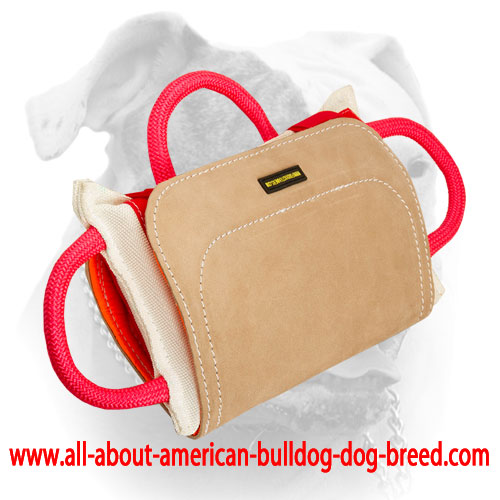 (image for) Advanced American Bulldog training bite pillow with leather covering