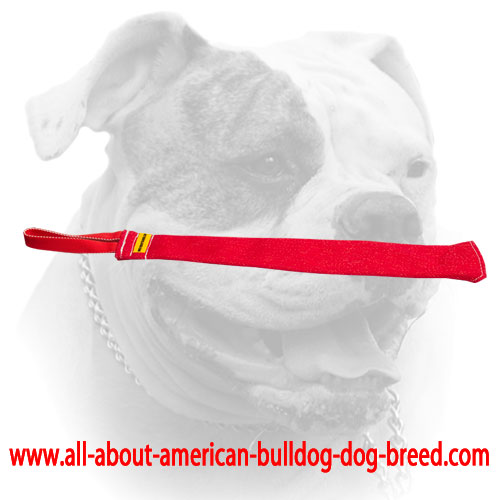(image for) French Linen American Bulldog puppy training bite rag