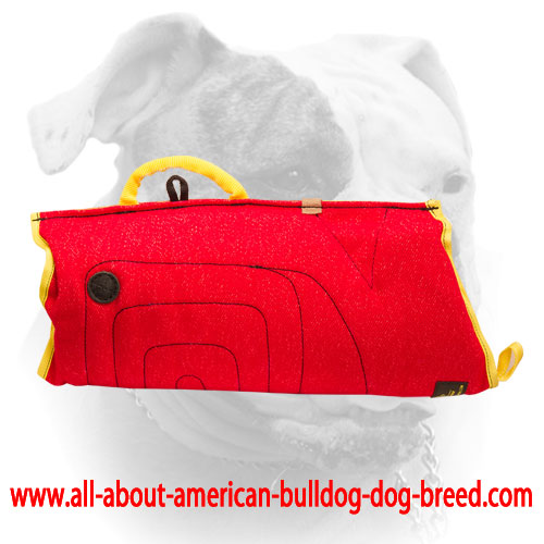 (image for) French Linen American Bulldog puppy bite sleeve for training