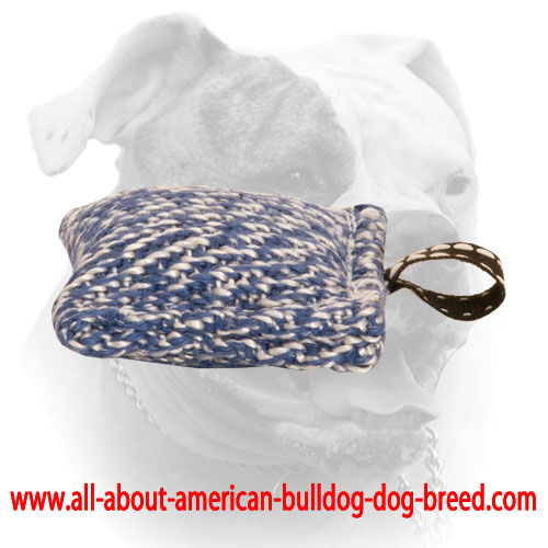 (image for) American Bulldog puppy bite tug of French Linen with a small loop