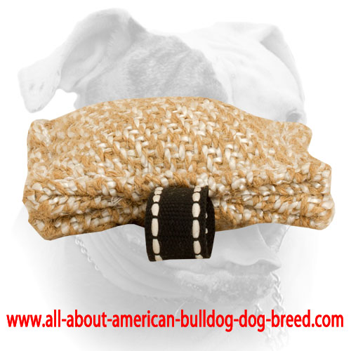 (image for) Jute American Bulldog Puppy Bite Tug with Stitched Handle