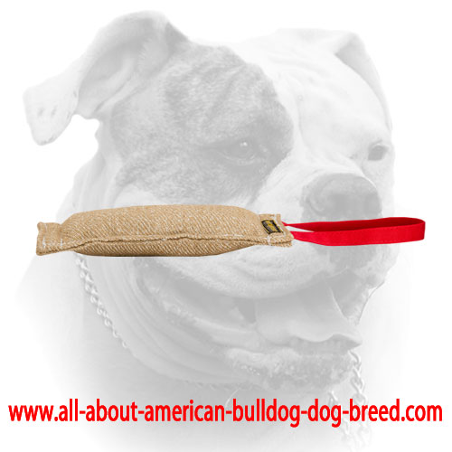 (image for) Jute bite tug for training American Bulldog