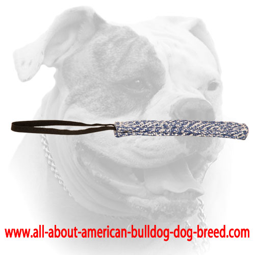(image for) French Linen bite tug with a handle for American Bulldog puppy