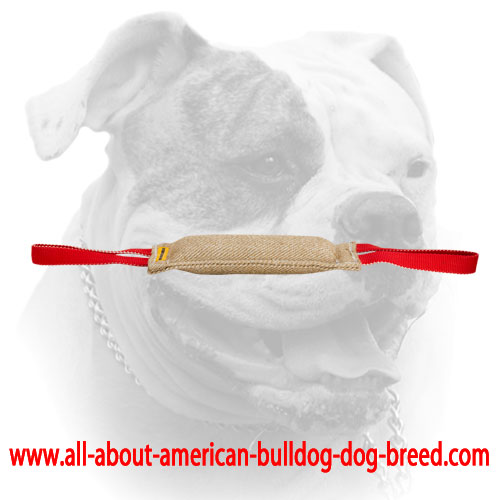 (image for) Dog safe jute bite tug for American Bulldog - Click Image to Close