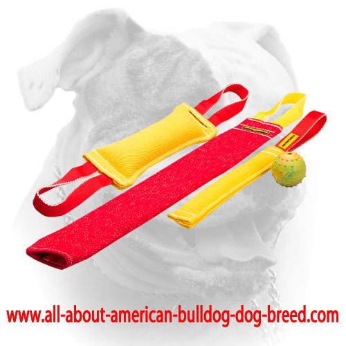 (image for) American Bulldog Puppy Training Bite Tugs Set of French Linen and a Training Ball As a Gift