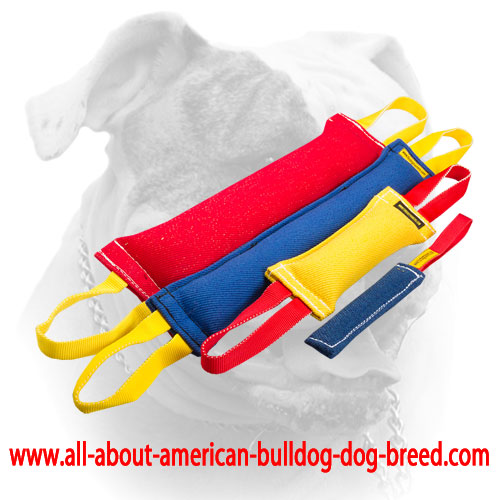 (image for) French Linen training set of bite tugs for American Bulldog