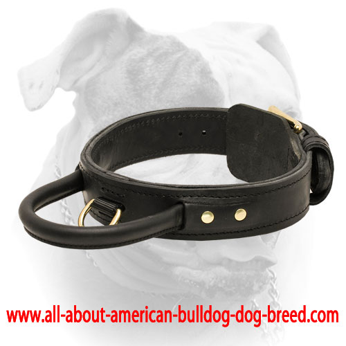 (image for) Extra Strong Multifunctional 2 ply leather agitation dog collar with handle.