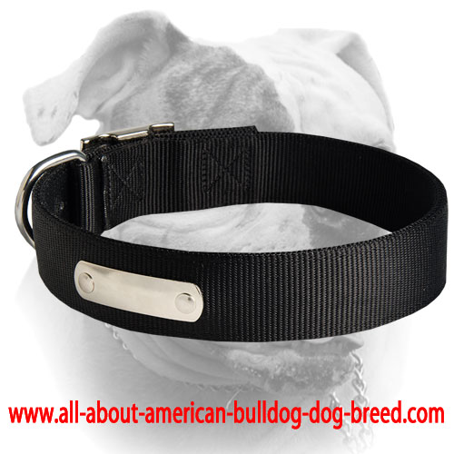 (image for) Best 2 Ply Nylon Dog Collar w/h name tag/Metal Buckle