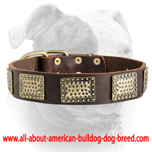 (image for) Luxury Leather Dog Collar for American Bulldog