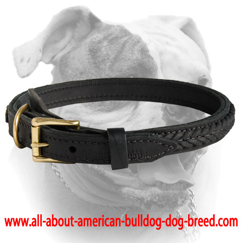 (image for) Exquisite Braided Leather American Bulldog Collar