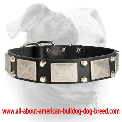 Leather deals bulldog collar