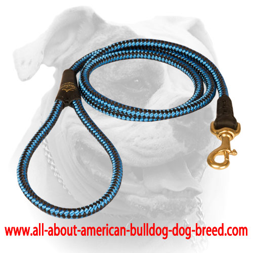 (image for) Cord nylon dog leash for American Bulldog
