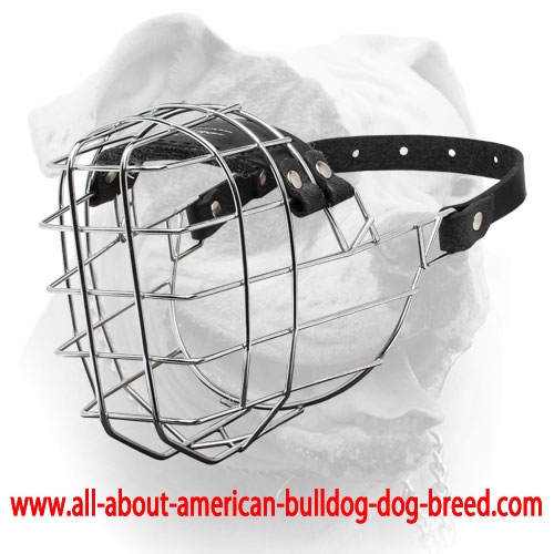 (image for) 'The Silencer' Super Comfortable American Bulldog Muzzle