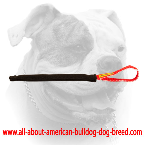 (image for) American Bulldog Puppy Training Pocket Toy with Handle
