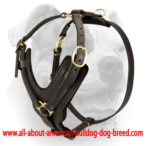 Exclusive Luxury Handcrafted Padded Leather Dog Harness H10 1095