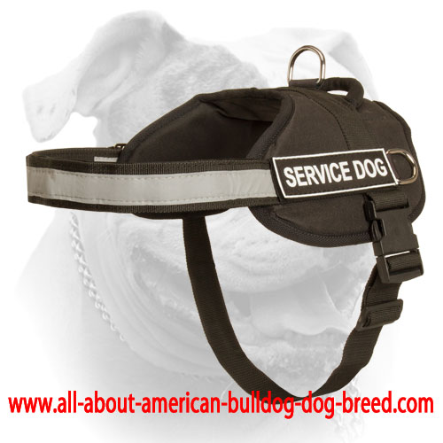 (image for) Nylon Harness With Patches For American Bulldog