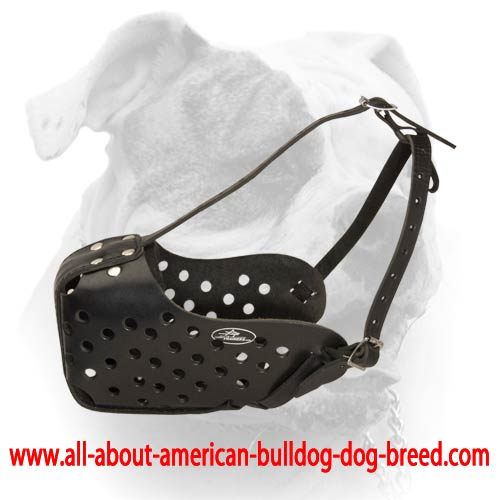 (image for) Practical Leather Training Dog Muzzle for American Bulldog
