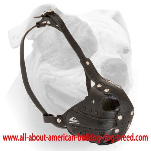 (image for) Revolutionary Dog Agitation Training Muzzle for American Bulldog