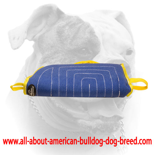 (image for) American Bulldog puppy sleeve made of strong, dog-safe French Linen