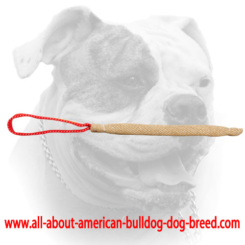 (image for) Pocket toy made of jute with handle for American Bulldog