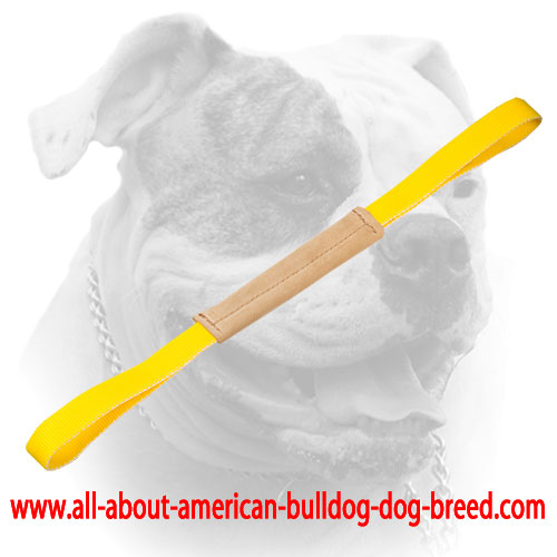 (image for) Obedience training American Bulldog leather pocket toy