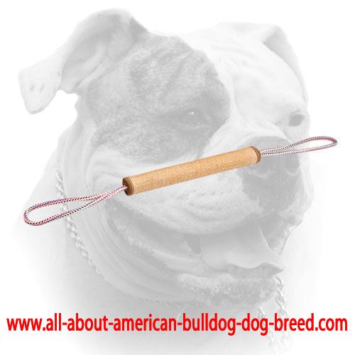 (image for) Order Now Rolled Jute Tugs with 2 handles for American Bulldog puppy training