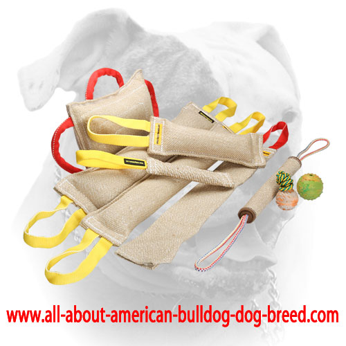 (image for) Jute bite tugs training set for American Bulldog