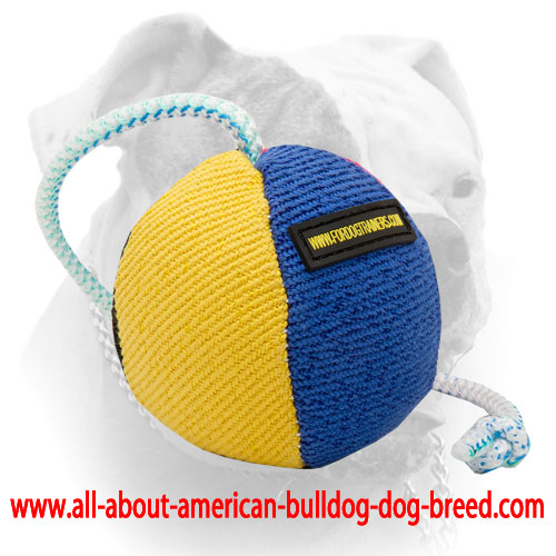 (image for) First-rate French Linen Dog Ball on a String for Absorbing Training