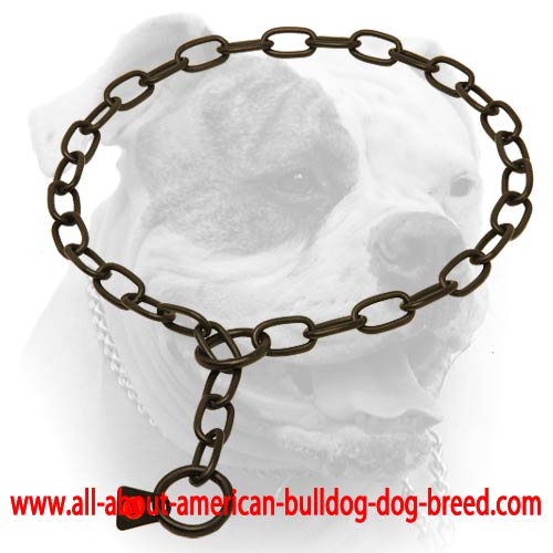 (image for) Black stainless steel American Bulldog fur saver 1/8 inch (3 mm) link diameter