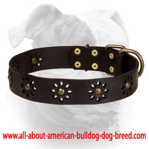 (image for) "Spring flowers" Leather American Bulldog Collar