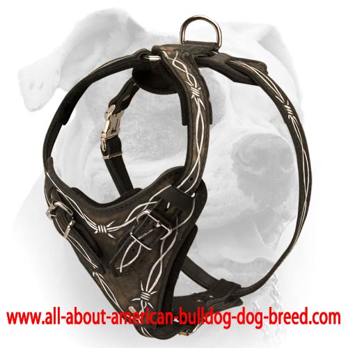 (image for) Trendy Handpainted Harness for American Bulldog
