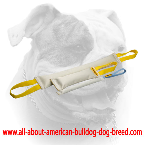 (image for) Fire hose bite tugs training set for American Bulldog