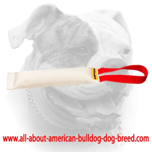(image for) Fire hose dog bite tug with one handle for American Bulldog