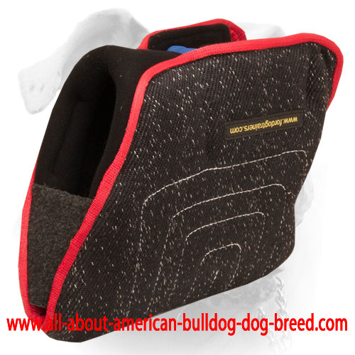 (image for) French Linen American Bulldog bite builder for young dogs