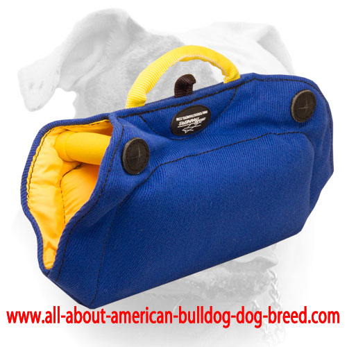 (image for) French Linen American Bulldog training bide builder