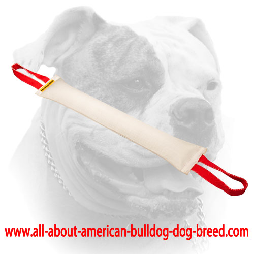 (image for) Real Fire Hose American Bulldog bite tug with two handles