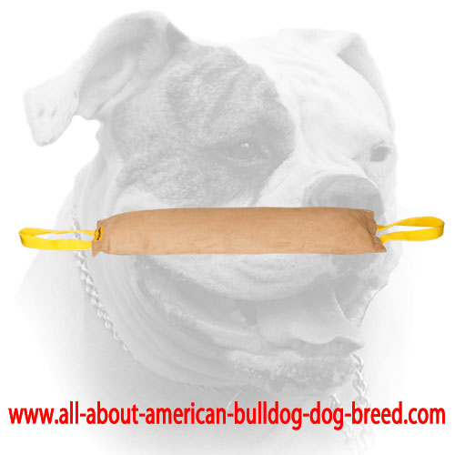 (image for) Huge American Bulldog leather tug toy with 2 handles
