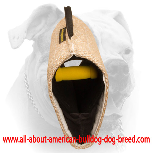 (image for) Jute bite builder for American Bulldog training