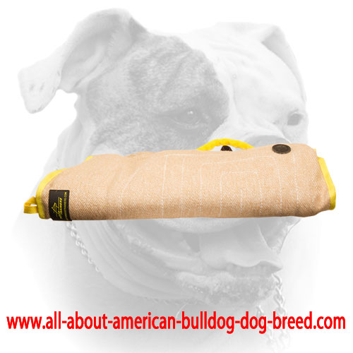 (image for) American Bulldog puppy sleeve made of strong yet safe jute